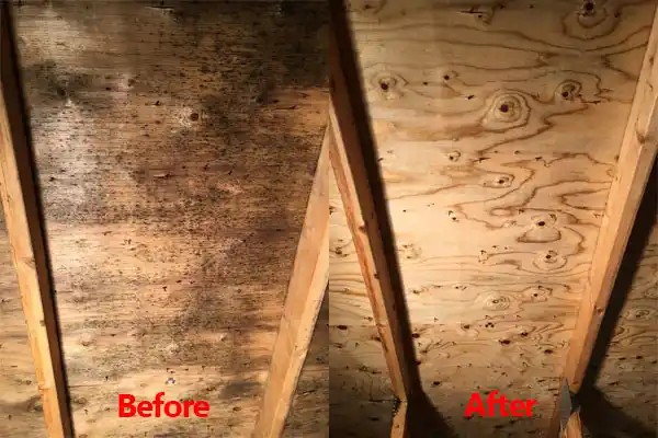 water damage restoration service Woods Bay